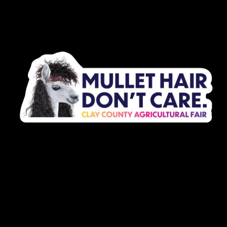 CCF Mullet Hair Don't Care | Magnet