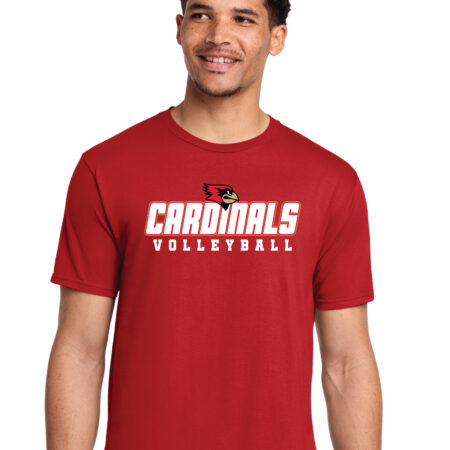 Volleyball Ring Spun Short Sleeve